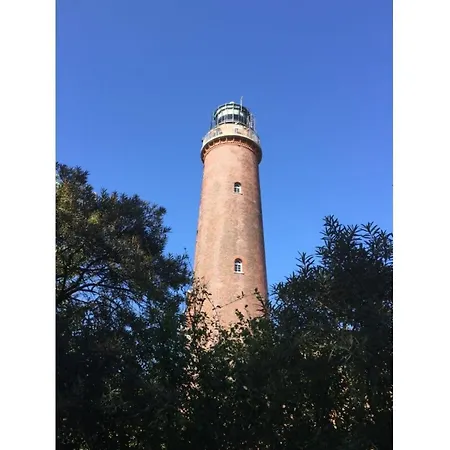 Am Borner Holm