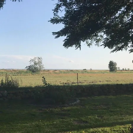 Am Borner Holm